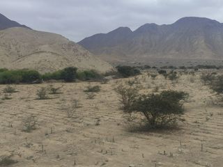 Foto 6 de Venta De Terreno Agricola De 29 Has En Vilcahuaura - Huaura