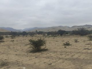 Foto 10 de Venta De Terreno Agricola De 29 Has En Vilcahuaura - Huaura