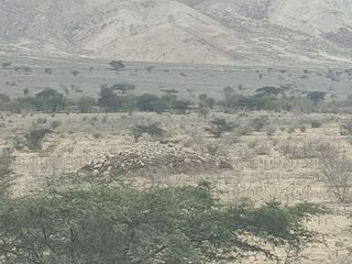 Foto 11 de Venta De Terreno Agricola De 29 Has En Vilcahuaura - Huaura