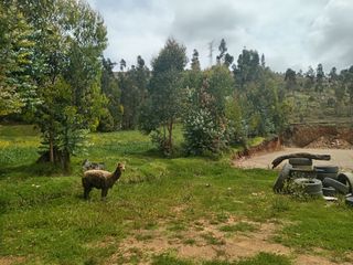 Foto 2 de 🏡🌱 𝐒𝐄 𝐕𝐄𝐍𝐃𝐄 𝐓𝐄𝐑𝐑𝐄𝐍𝐎 𝐂𝐎𝐍 𝐇𝐀𝐁𝐈𝐋𝐈𝐓𝐀𝐂𝐈𝐎́𝐍 𝐔𝐑𝐁𝐀𝐍𝐀 𝐃𝐄 𝟓𝟓𝟏𝟖.𝟒𝟖 𝐌𝟐🏡🌱
