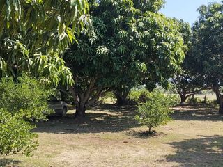 Foto 1 de Finca Inversion