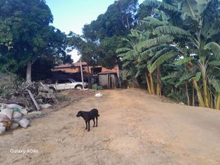 Foto 33 de SE VENDE O PERMUTA FINCA  POR MENOR VALOR EN ARMERO GUAYABAL