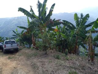 Foto 39 de SE VENDE O PERMUTA FINCA  POR MENOR VALOR EN ARMERO GUAYABAL