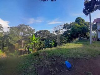 Foto 40 de SE VENDE O PERMUTA FINCA  POR MENOR VALOR EN ARMERO GUAYABAL