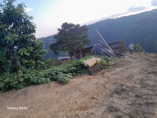 Foto 42 de SE VENDE O PERMUTA FINCA  POR MENOR VALOR EN ARMERO GUAYABAL