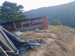 Foto 45 de SE VENDE O PERMUTA FINCA  POR MENOR VALOR EN ARMERO GUAYABAL