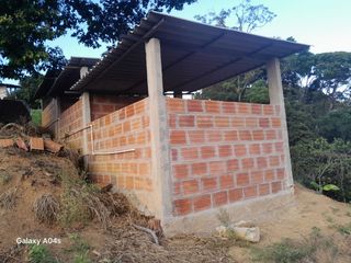 Foto 47 de SE VENDE O PERMUTA FINCA  POR MENOR VALOR EN ARMERO GUAYABAL
