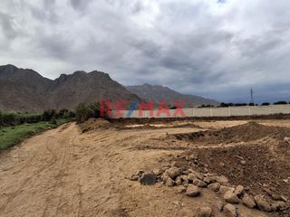 Foto 3 de Vendo Terreno 2500 M2 Cerca Al Puente Quirihuac $ 160 000
