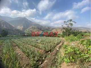 Foto 1 de Terreno Agricola En Venta / Poroto / 3,700 M2 / $86 X M2