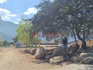 Foto 4 de Terreno Agricola En Venta / Poroto / 3,700 M2 / $86 X M2