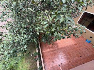 Foto 7 de CASA COMERCIAL EN VENTA EN SANTA ISABEL AZUAY
