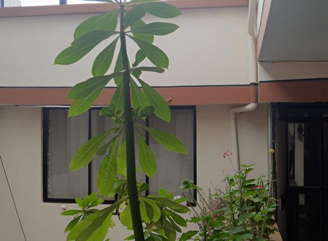 place photo 21