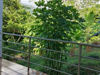 Foto 10 de Casa de Campo en Tarapoto – Ideal para Airbnb o Relax en la Naturaleza