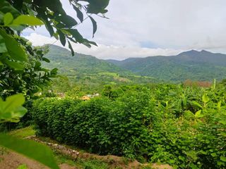 Foto 32 de Casa de Campo en Tarapoto – Ideal para Airbnb o Relax en la Naturaleza