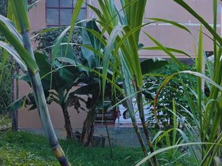 Foto 35 de Casa de Campo en Tarapoto – Ideal para Airbnb o Relax en la Naturaleza