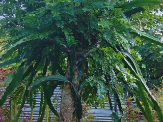 Foto 36 de Casa de Campo en Tarapoto – Ideal para Airbnb o Relax en la Naturaleza