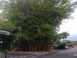 Foto 36 de VENTA ACOGEDOR APTO CONDOMINIO CAMPESTRE - ALFAGUARA, JAMUNDI