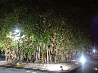 Foto 37 de VENTA ACOGEDOR APTO CONDOMINIO CAMPESTRE - ALFAGUARA, JAMUNDI