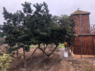 Foto 5 de 🍇 DISFRUTA DEL CAMPO CON PISCINA PRIVADA Y HUERTO PROPIO EN SUNAMPE 🏡