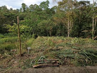 Foto 10 de VENTA TERRENO URBANIZACIÓN BALCONES DE ALCALÁ EN PEDRO VICENTE MALDONADO FRENTE A LA URBANIZACIÓN CASCADA AZÚL