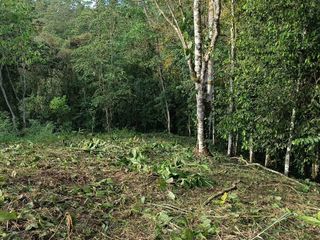 Foto 14 de VENTA TERRENO URBANIZACIÓN BALCONES DE ALCALÁ EN PEDRO VICENTE MALDONADO FRENTE A LA URBANIZACIÓN CASCADA AZÚL