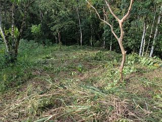 Foto 16 de VENTA TERRENO URBANIZACIÓN BALCONES DE ALCALÁ EN PEDRO VICENTE MALDONADO FRENTE A LA URBANIZACIÓN CASCADA AZÚL