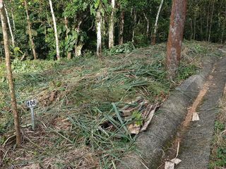 Foto 18 de VENTA TERRENO URBANIZACIÓN BALCONES DE ALCALÁ EN PEDRO VICENTE MALDONADO FRENTE A LA URBANIZACIÓN CASCADA AZÚL