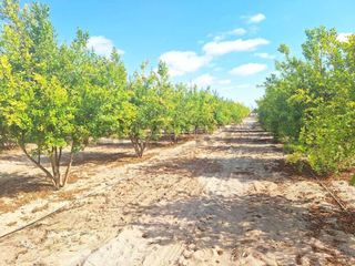 Foto 1 de TERRENO EN VENTA EN PAMPA HOSPICIO – TACNA