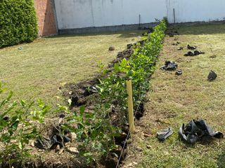 Foto 2 de Lote en venta en Giradot Cundinamarca