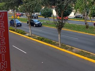 Foto 4 de SE ALQUILA LOCAL AV FAUCETT 1863 1ER PISO BELLAVISTA