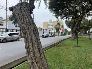 Foto 9 de Excelente Local Comercial *650 M²* 8 cocheras - Av Salaverry