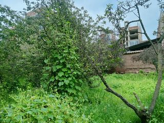 Foto 12 de GRAN OPORTUNIDAD PARA CONSTRUCTORES E INVERSIONISTAS  📢 SE VENDE TERRENO DE 1249 m² EN SAN SEBASTIÁN