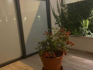Foto 5 de Alquilo Miraflores primer piso 3 dormitorios con baños incorporados