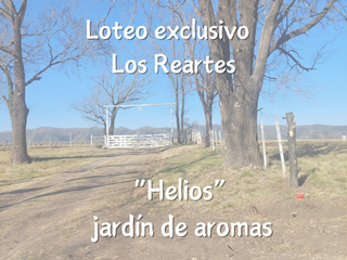 Foto 10 de Exclusivo loteo 