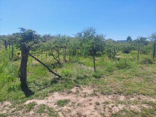 Foto 5 de Lote de 2000 m2 en Villa general Belgrano- Barrio Tierras del sauce