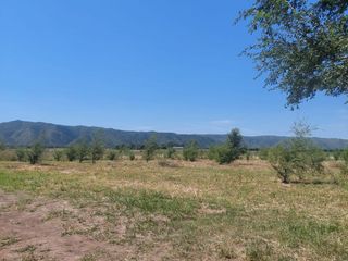 Foto 4 de Fracciones de 1 hectárea en venta en Los Reartes 