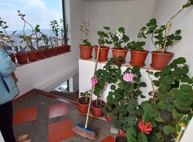 Apartamento en venta en Cotocollao - Ansicht 6