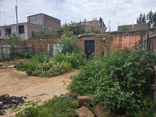 Foto 5 de 🏡 ¡𝐎𝐅𝐄𝐑𝐓𝐀 𝐄𝐗𝐂𝐋𝐔𝐒𝐈𝐕𝐀❗ 𝐓𝐄𝐑𝐑𝐄𝐍𝐎 𝐄𝐍 𝐕𝐄𝐍𝐓𝐀 𝐀 𝐏𝐑𝐄𝐂𝐈𝐎 𝐈𝐌𝐁𝐀𝐓𝐈𝐁𝐋𝐄 𝐄𝐍 𝐏𝐀𝐋𝐈𝐀𝐍💰