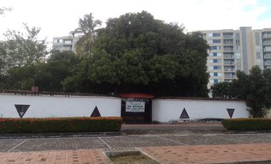 similar_image