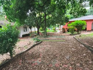 Foto 13 de En Ricaurte- Cundinamarca Colombia vendemos hermoso lote 500 M2.