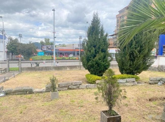 place photo 24
