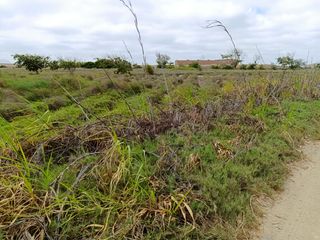 Foto 4 de 