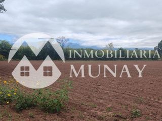Foto 2 de VENTA DE TERRENO EN CORONEL MOLDES