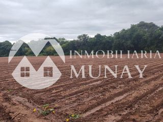 Foto 5 de VENTA DE TERRENO EN CORONEL MOLDES