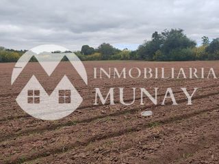Foto 6 de VENTA DE TERRENO EN CORONEL MOLDES