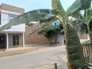 Foto 10 de Venta De Casa En Estreno En Puente Piedra