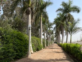 Foto 1 de Terreno en venta en Quilmaná – Tu refugio ideal en el Valle de Cañete