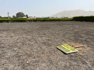 Foto 12 de Terreno en venta en Quilmaná – Tu refugio ideal en el Valle de Cañete