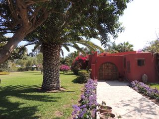 Foto 3 de Terreno en venta en Quilmaná – Tu refugio ideal en el Valle de Cañete