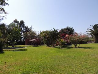 Foto 4 de Terreno en venta en Quilmaná – Tu refugio ideal en el Valle de Cañete